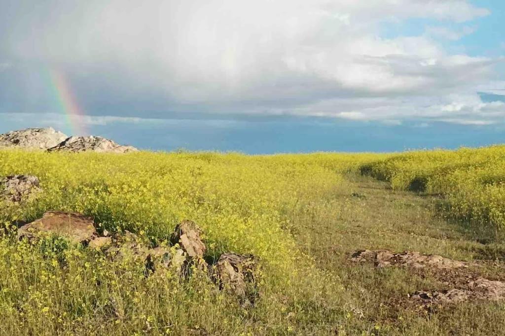 Casas Del Rincon- 7 Holiday home